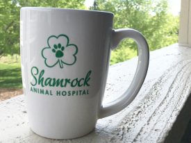 Shamrock Animal Hospital